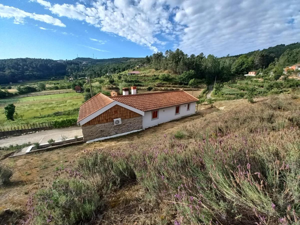 Quinta Da Peca Douro Vinhateiro Vila Real Exterior foto