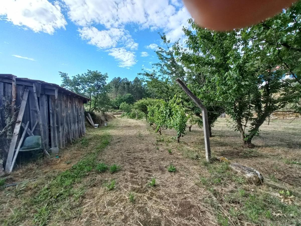 Quinta Da Peca Douro Vinhateiro Vila Real Exterior foto